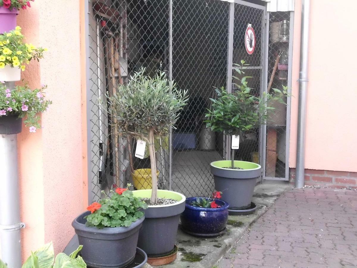 Am Erxleben-Hotel Quedlinburg Zewnętrze zdjęcie